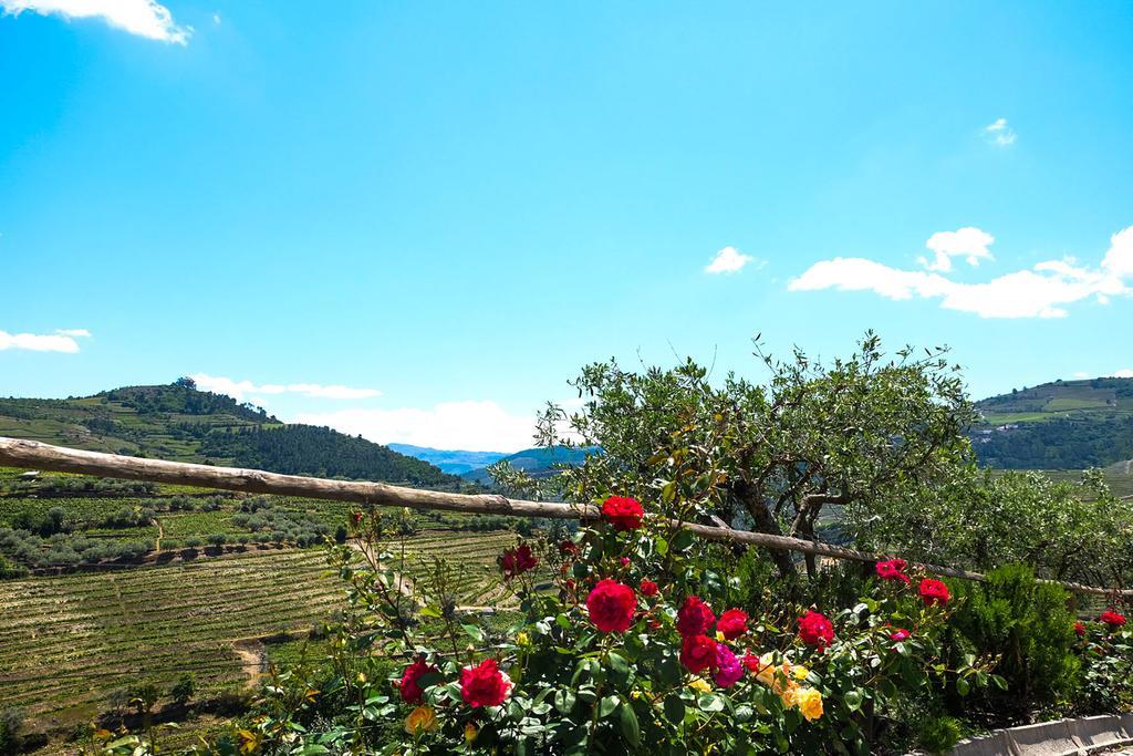 Hotel Rural Da Quinta Do Silval Vale de Mendiz Exteriör bild